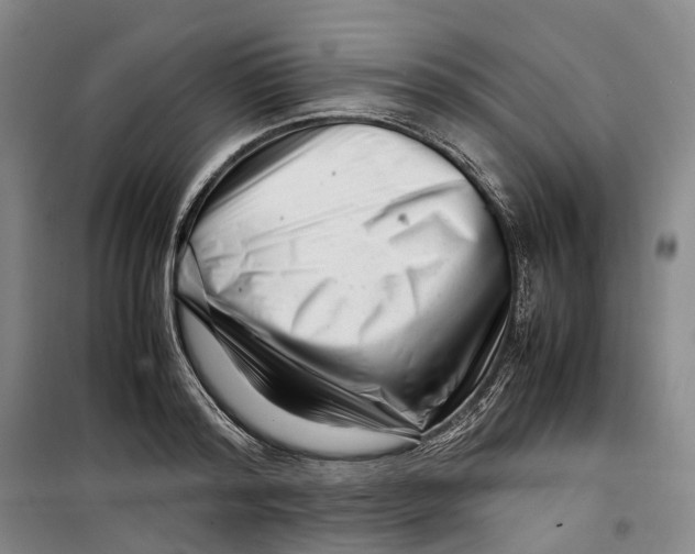 X0000099460796200805301533