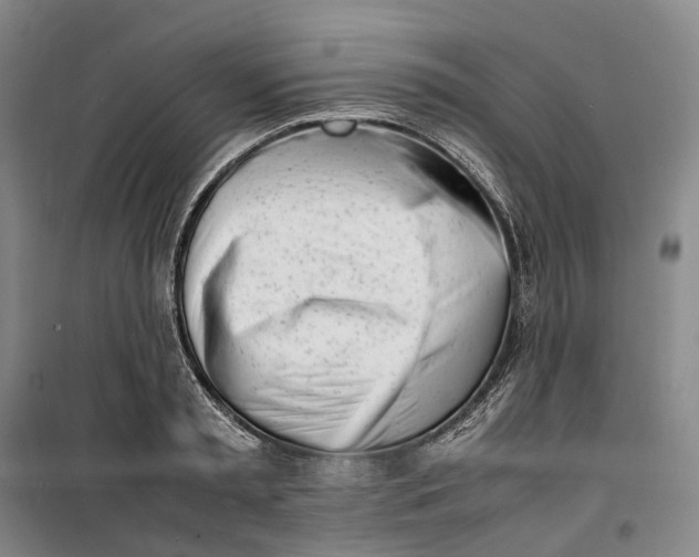 X0000099460797200805301533