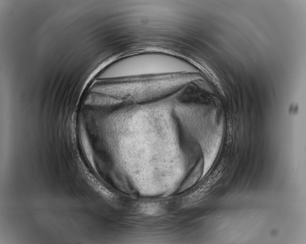 X0000099460798200805301533