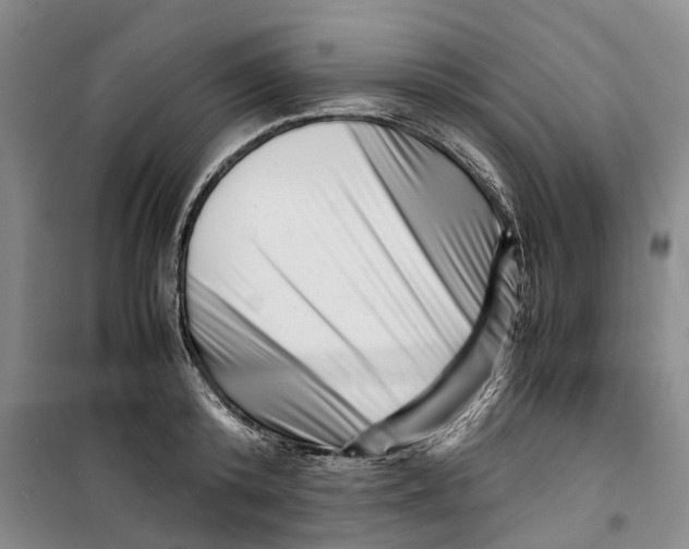 X0000099460800200805301533