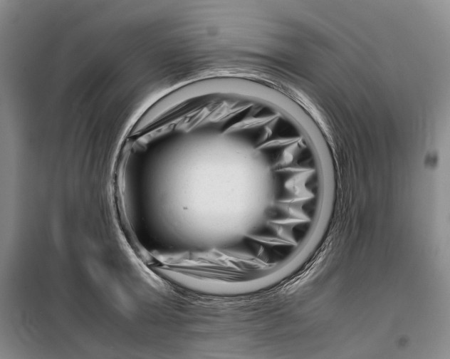 X0000099460803200805301533