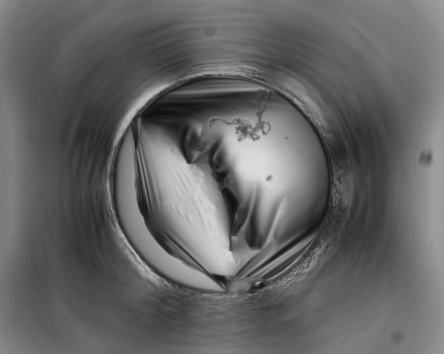 X0000099460804200805301533