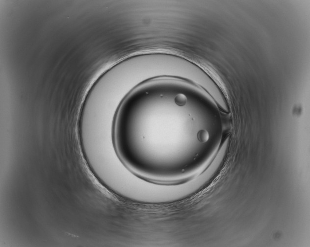 X0000099460805200805301533