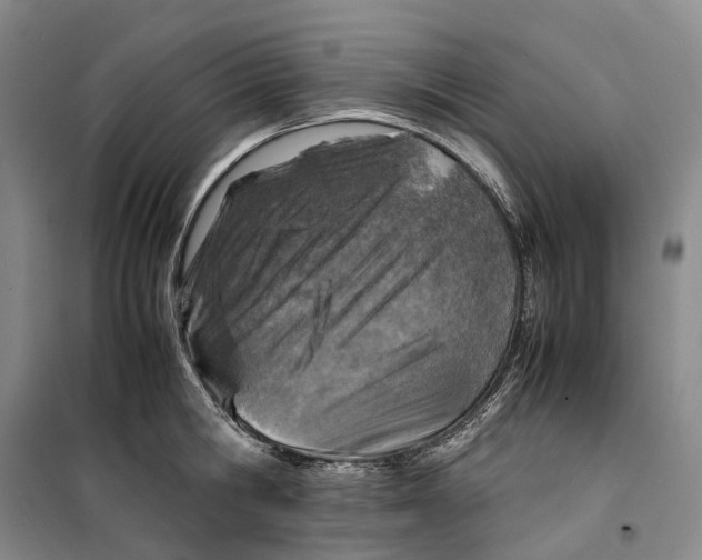 X0000099460806200805301533