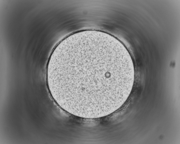 X0000099460807200805301533