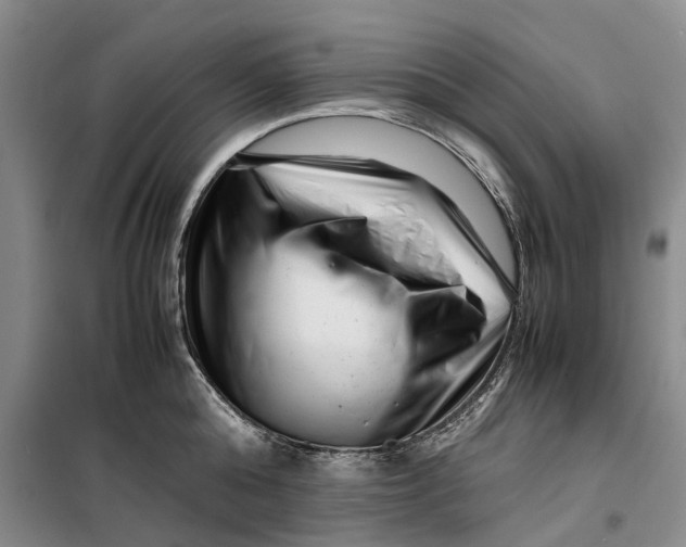 X0000099460808200805301533