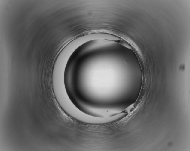 X0000099460809200805301533