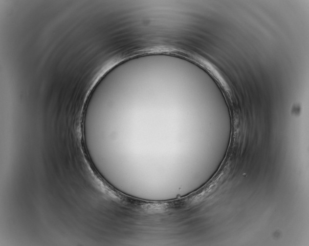 X0000099460810200805301533