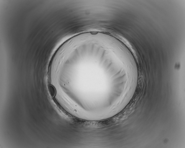 X0000099460811200805301533