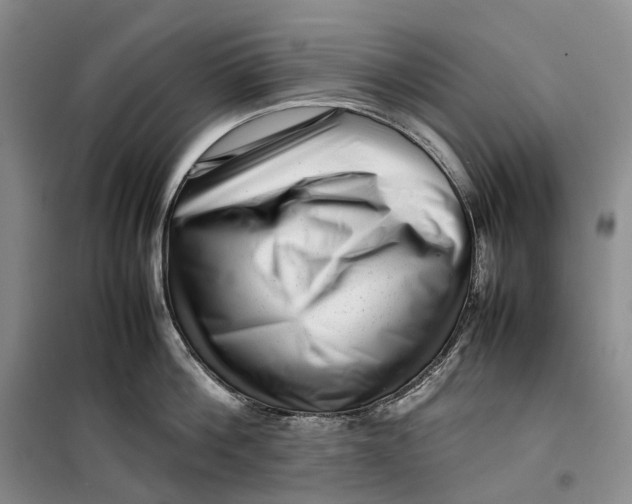 X0000099460812200805301533