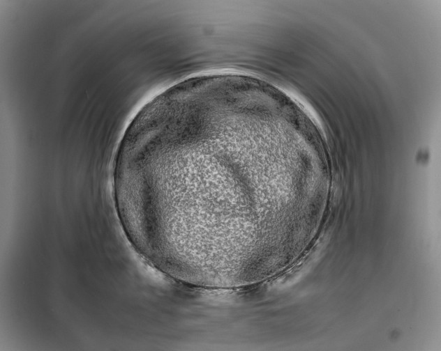 X0000099460813200805301533