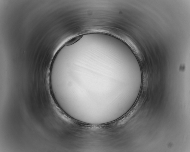 X0000099460814200805301533