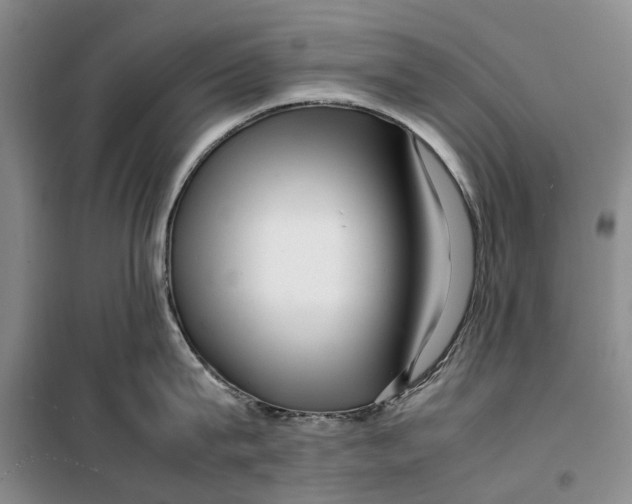 X0000099460815200805301533