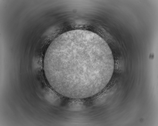 X0000099460820200805301532