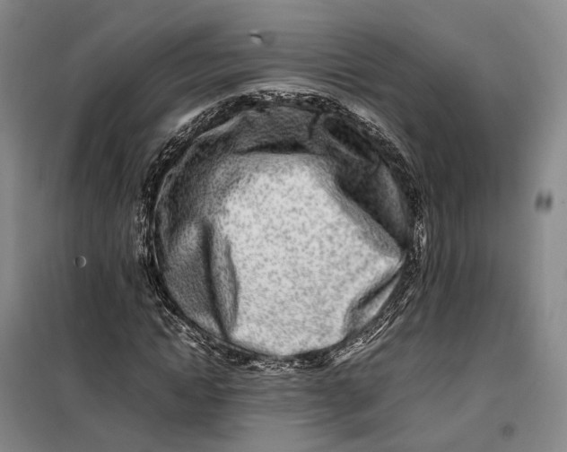 X0000099460822200805301532