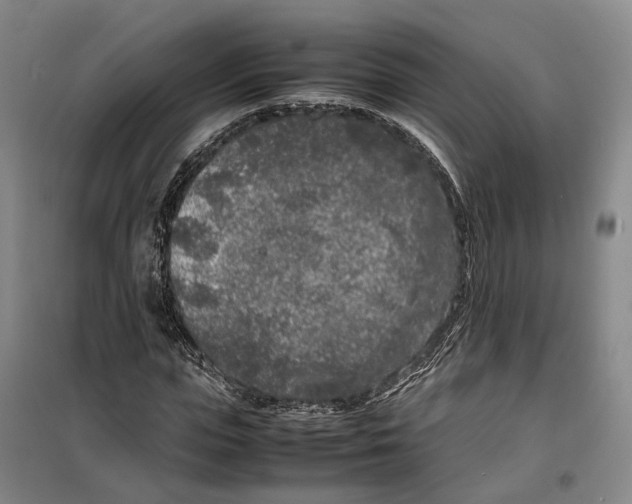 X0000099460823200805301532