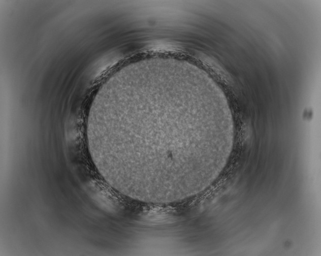 X0000099460824200805301532