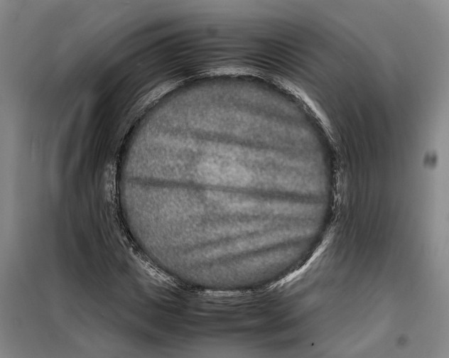 X0000099460825200805301532