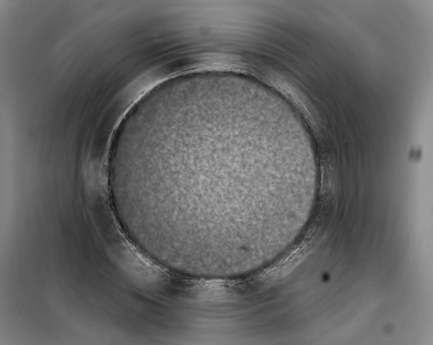 X0000099460828200805301532