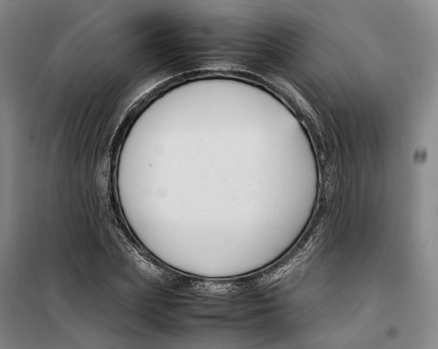 X0000099460831200805301532