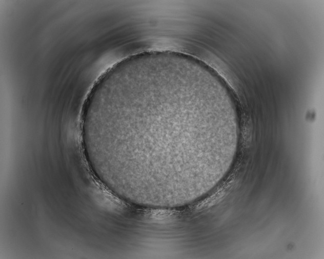 X0000099460832200805301532