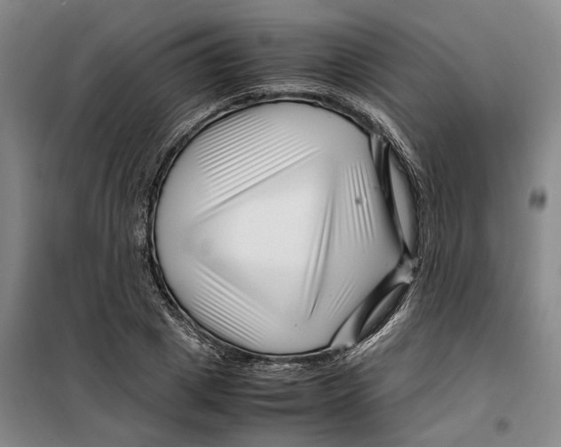 X0000099460833200805301532