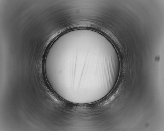 X0000099460834200805301532