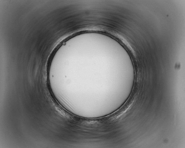 X0000099460837200805301532