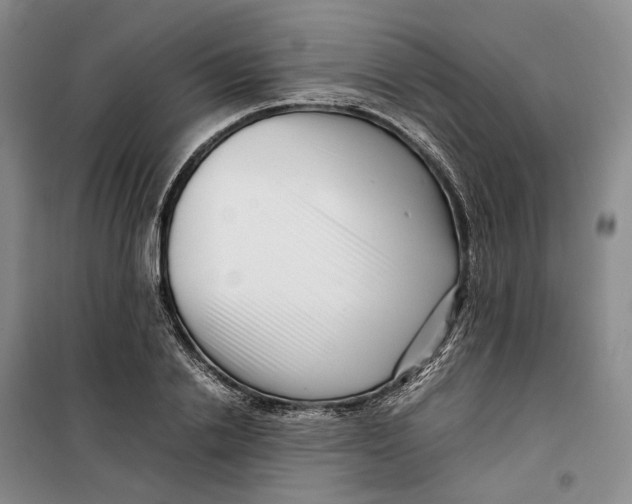 X0000099460838200805301532