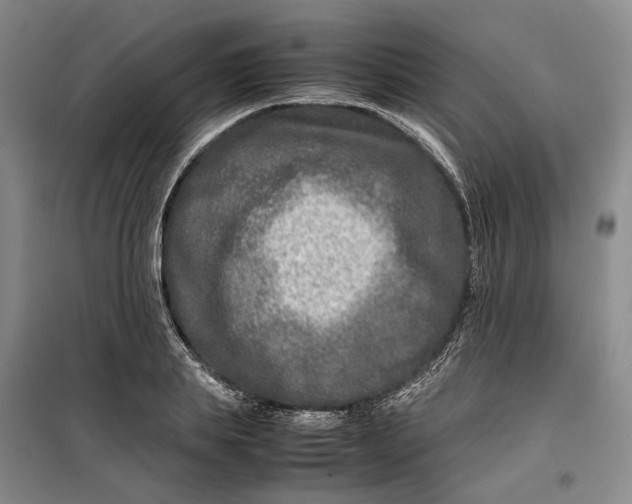 X0000099460839200805301532