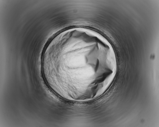 X0000099460840200805301532