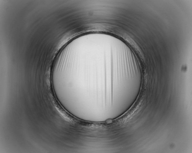 X0000099460842200805301533