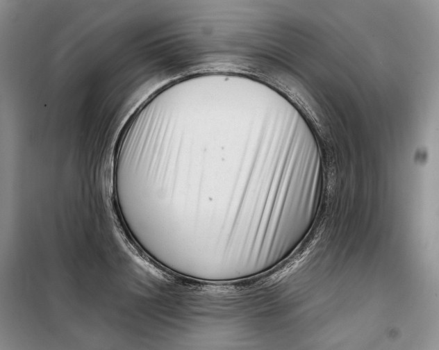 X0000099460844200805301533