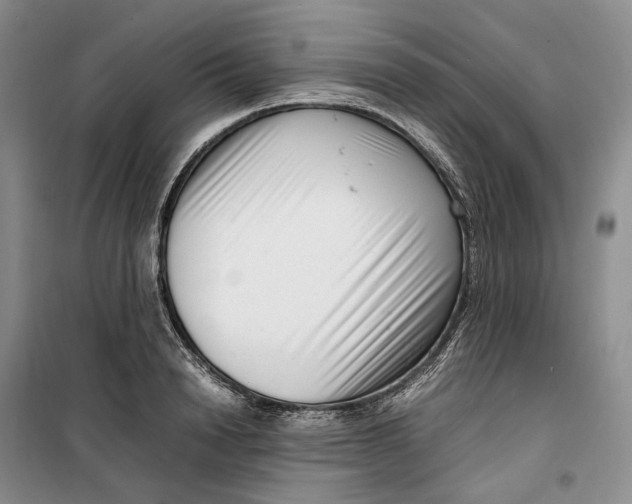 X0000099460846200805301533