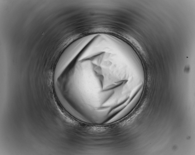 X0000099460849200805301533