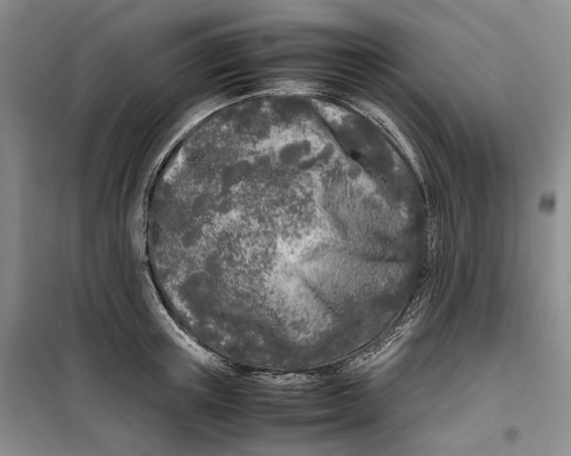 X0000099460851200805301533