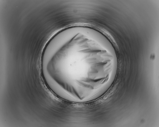 X0000099460852200805301533