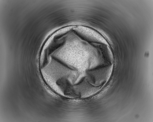 X0000099460854200805301533