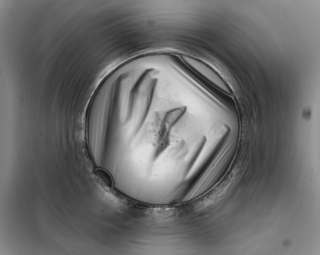 X0000099460858200805301533