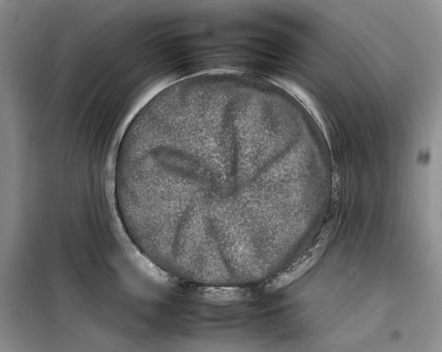 X0000099460859200805301533