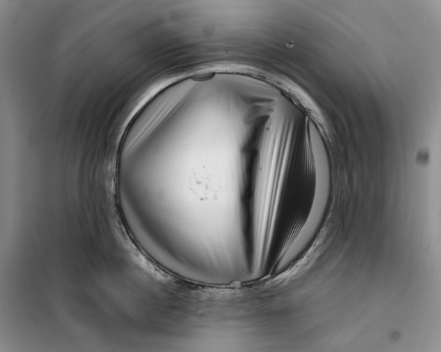 X0000099460860200805301533