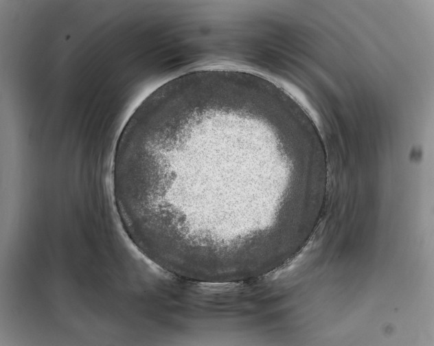 X0000099460863200805301533