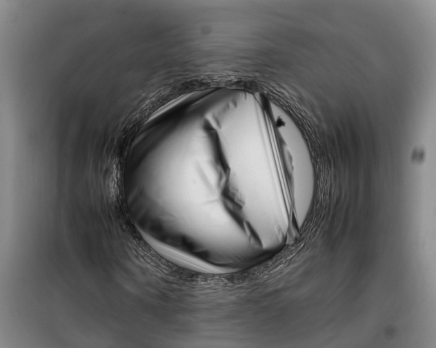 X0000099460866200805301532