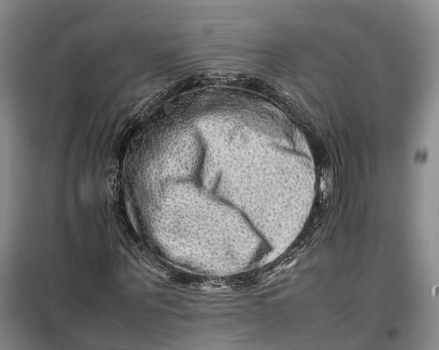 X0000099460867200805301532