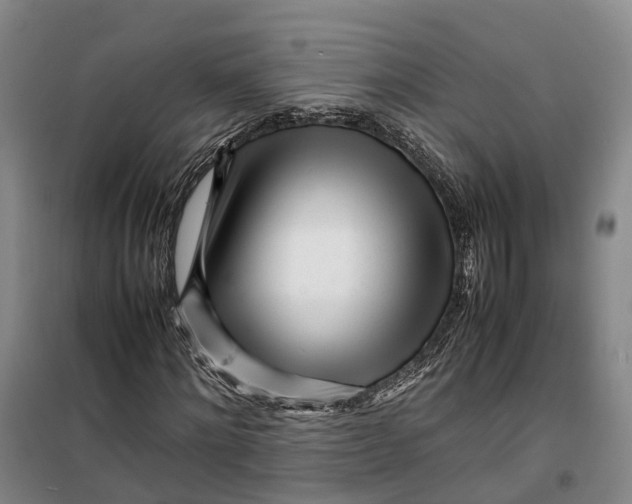 X0000099460868200805301532