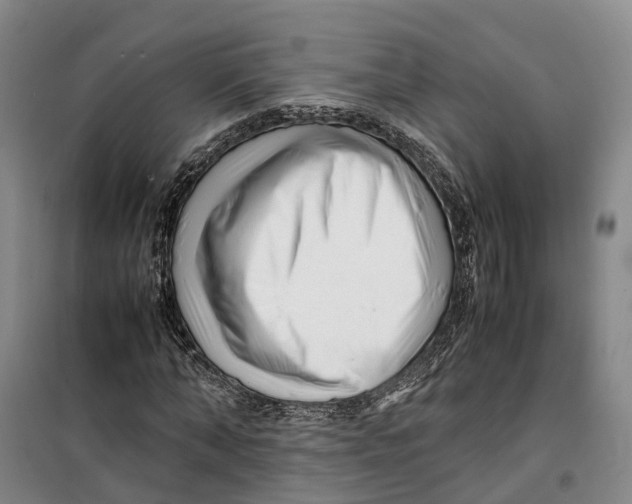 X0000099460870200805301532