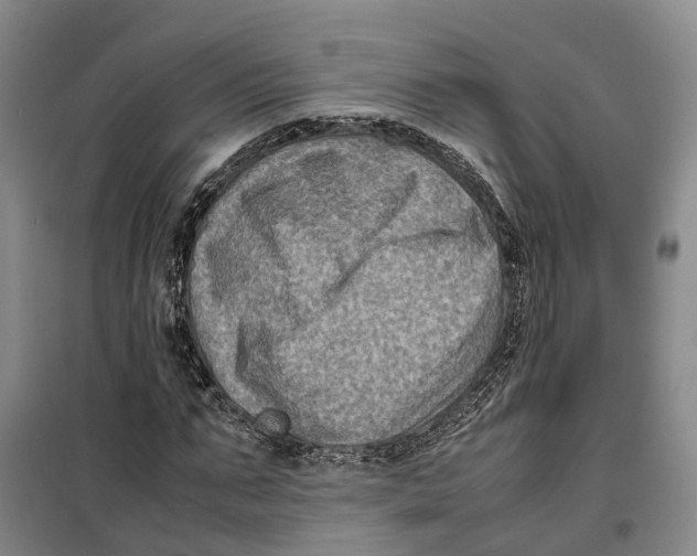 X0000099460871200805301532