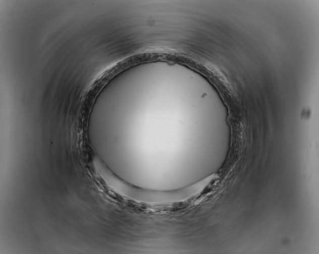 X0000099460872200805301532