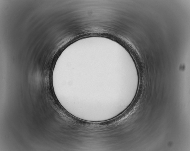 X0000099460873200805301532