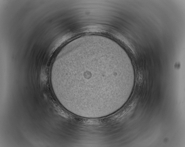 X0000099460874200805301532